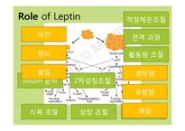 [생물정보] 렙틴(leptin)-5