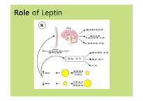 [생물정보] 렙틴(leptin)-6