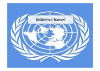 [국제관계] UN(국제연합) 조사-1