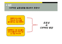 [재무관리] 배당할인모형을 이용한 CAPM 적정성 검증-11