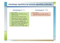 [생화학] 면역, 염증질환과 자가포식(Autophagy)-11