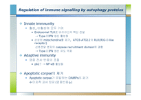 [생화학] 면역, 염증질환과 자가포식(Autophagy)-14
