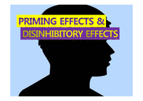Priming Effects & Disinhibitory Effects(영문)-1