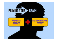 Priming Effects & Disinhibitory Effects(영문)-2
