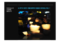 [한국정치] 미국산 쇠고기 반대 촛불 시위 평가-3