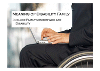 [사회복지] 장애인 가족을 위한 복지 정책 연구-3