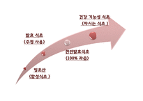[발효식품] 고품질`막걸리식초`의 제조-6