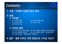유럽연합과 공동농업정책(CAP)-2