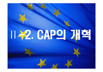 유럽연합과 공동농업정책(CAP)-13