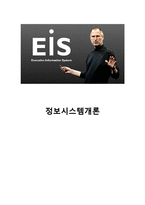[경영정보시스템] EIS 시스템 분석-1