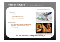 [미생물학] 종양바이러스(Oncovirus)-Virus induced Cancer 연구(영문)-9