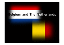 [유럽정치] 벨기에와 네덜란드 비교(영문)-1