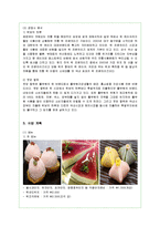 [사업계획서] 전통식품 웰빙 떡카페 창업계획서-4
