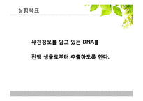 [유전학] 진핵 생물의 DNA 분리-2