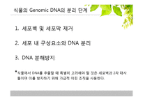 [유전학] 진핵 생물의 DNA 분리-5