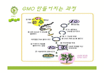 GMO의 문제점과 해결방안 및 인식 조사-4