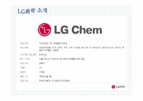 [인적자원관리] LG 화학 HR System-4
