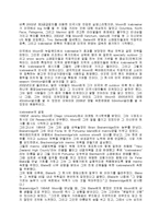 [case study]번역 icebreaker-the china entry decision 해석-2