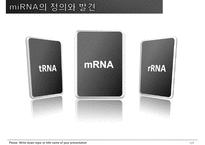 [유전학] 마이크로 RNA(miRNA) 연구-5