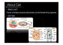[세포실험] Cell culture-3