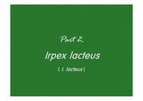 [환경재료과학] 백색부후균, Irpex lacteus-6