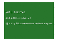 [환경재료과학] 백색부후균, Irpex lacteus-10