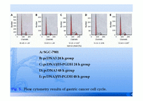 위암세포 15-PGDH 발현 연구-12