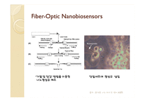 나노 바이오센서(Nano Biosensor) 동향 및 전망-14