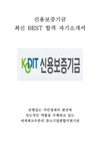 신용보증기금 KODIT 인턴 최신 BEST 합격 자기소개서!!!!-1