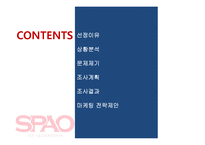 SPAO 스파오 마케팅사례조사및 마케팅 전략제안-2