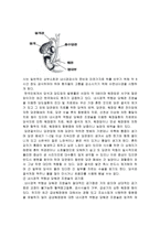 A++ 내시경 요법 20130306 최종수정-7