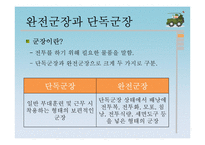 [전쟁과 평화] 한국의 군장체계의 발전과 비교-15