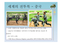 [전쟁과 평화] 한국의 군장체계의 발전과 비교-20