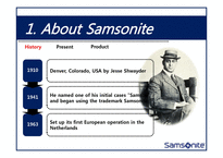 [국제경영] 쌤소나이트 Samsonite SCM 분석(영문)-4
