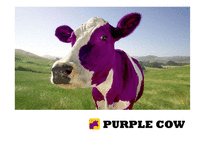 [국제경영] purple cow-1