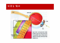 마이크로나노공학 -광센서를 이용한 인공 눈의 원리 및 공정-18