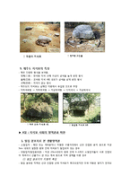 고고학Ⅰ 『한국 지석묘 사회 연구』 5장 5절~7절-3