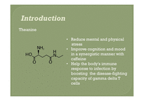 아미노산(Amino acids)-9