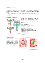 자궁근종 간호사정 및 진단-6