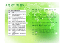 핵 안보와 한국외교안보의 방향-12