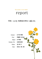 노랑꽃나무 레포트표지-1