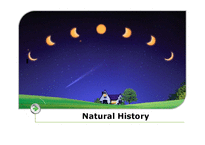 자연사(Natural history) 시대별 특징과 이론-1