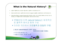 자연사(Natural history) 시대별 특징과 이론-3
