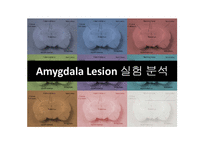 Amygdala Lesion 실험 분석-1