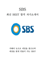 SBS 기자 최신 BEST 합격 자기소개서!!!!-1