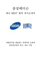 삼성메디슨 영업 마케팅 최신 BEST 합격 자기소개서!!!!-1