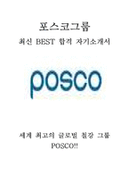 포스코 그룹 POSCO Challenge 인턴십 최신 BEST 합격 자기소개서!!!!-1