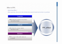 PPL 사례 분석(영문)-9