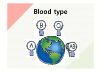 혈액형별 특성에 대한 영어 발표-12