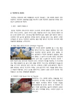 [중국경제론] ‘미얀마’의 관광산업 특화 - 후진국 발전에 대해-6